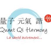 coaching entreprise Quant Qi Harmony